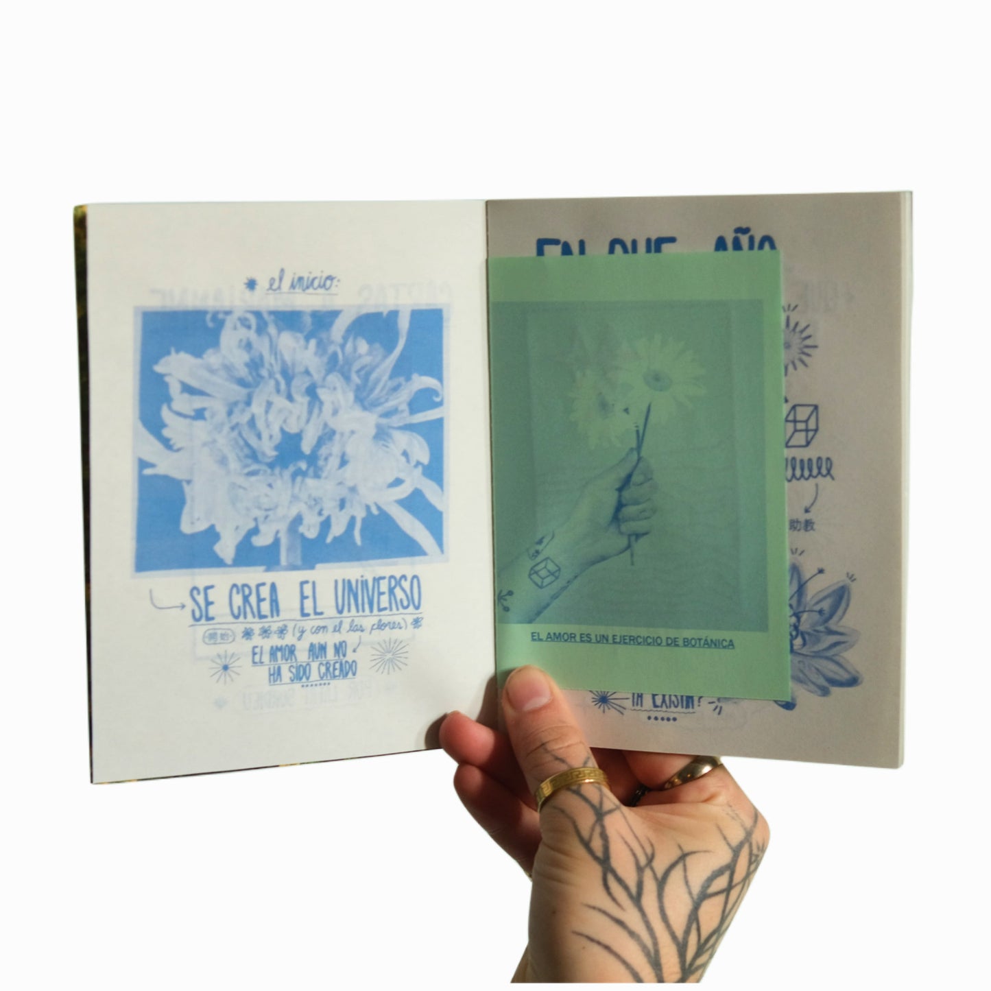 fanzine LA BOTÁNICA DEL AMOR