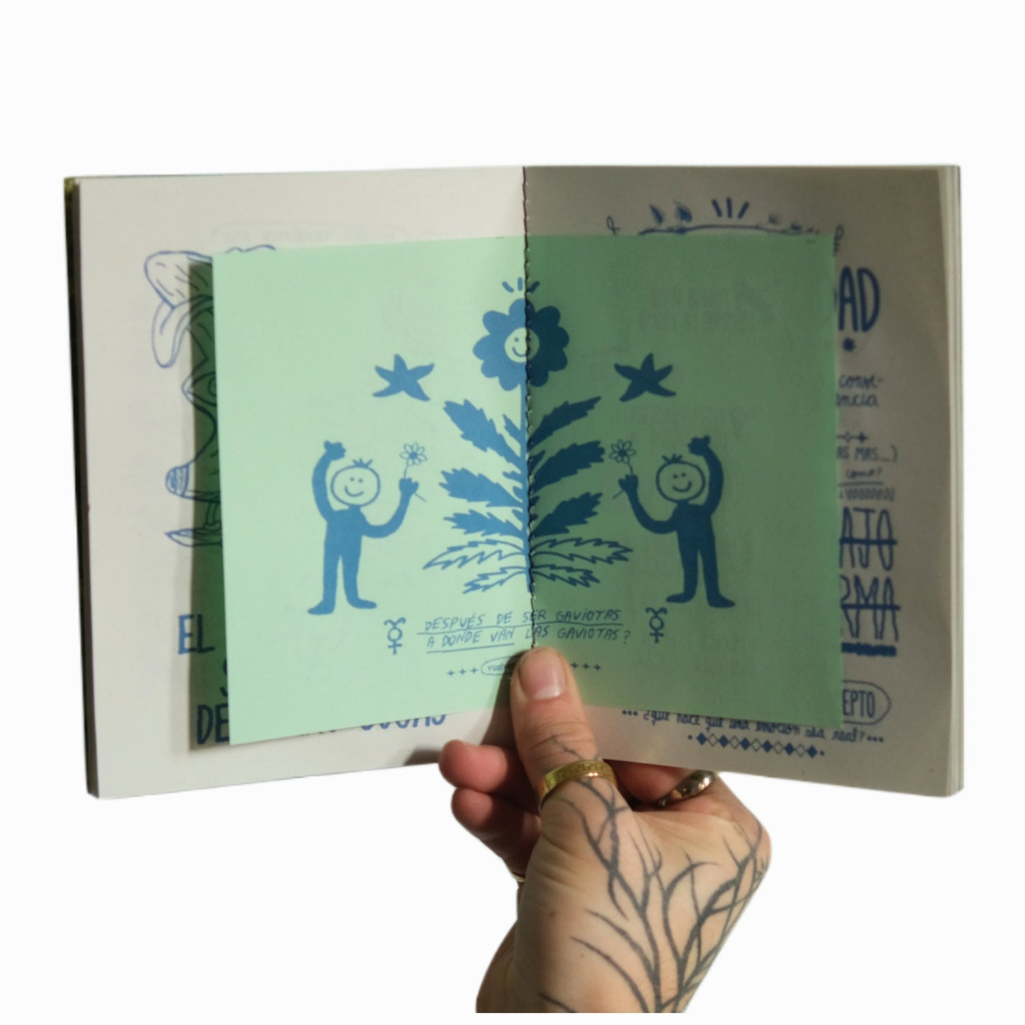 fanzine LA BOTÁNICA DEL AMOR