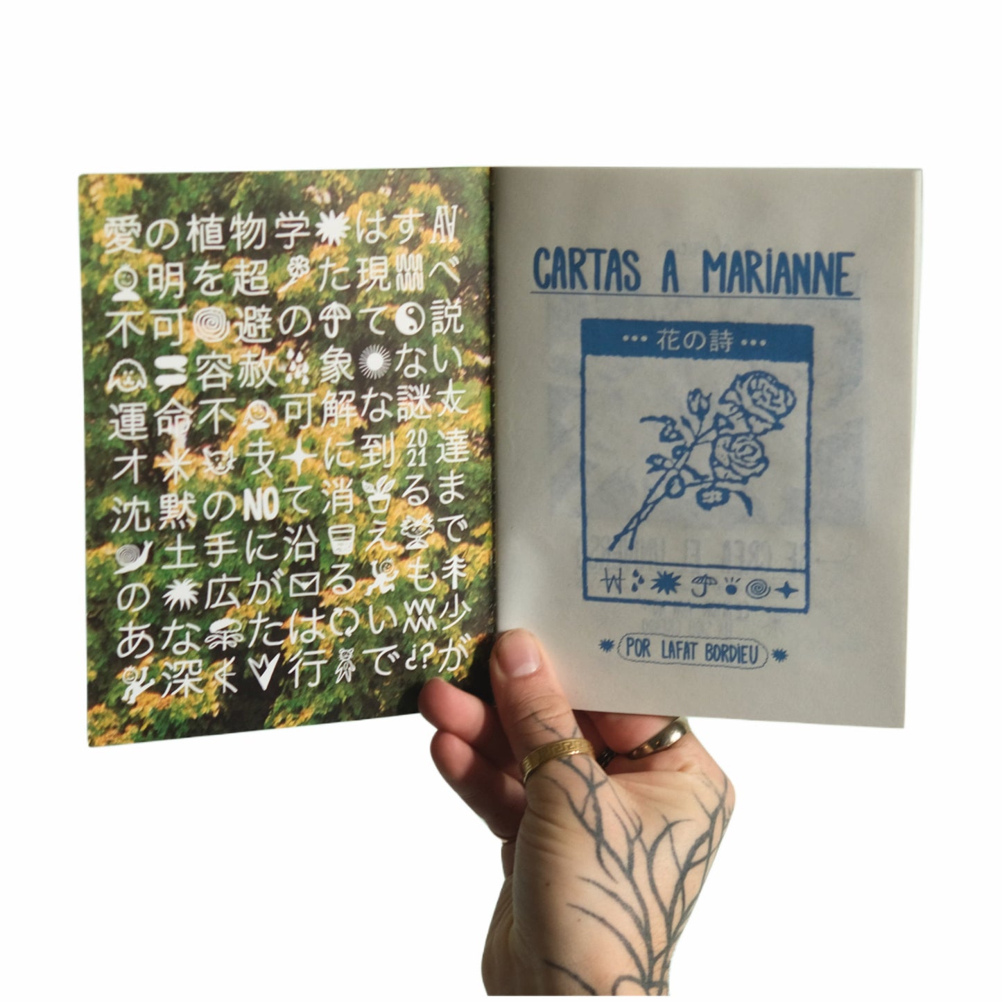 fanzine LA BOTÁNICA DEL AMOR