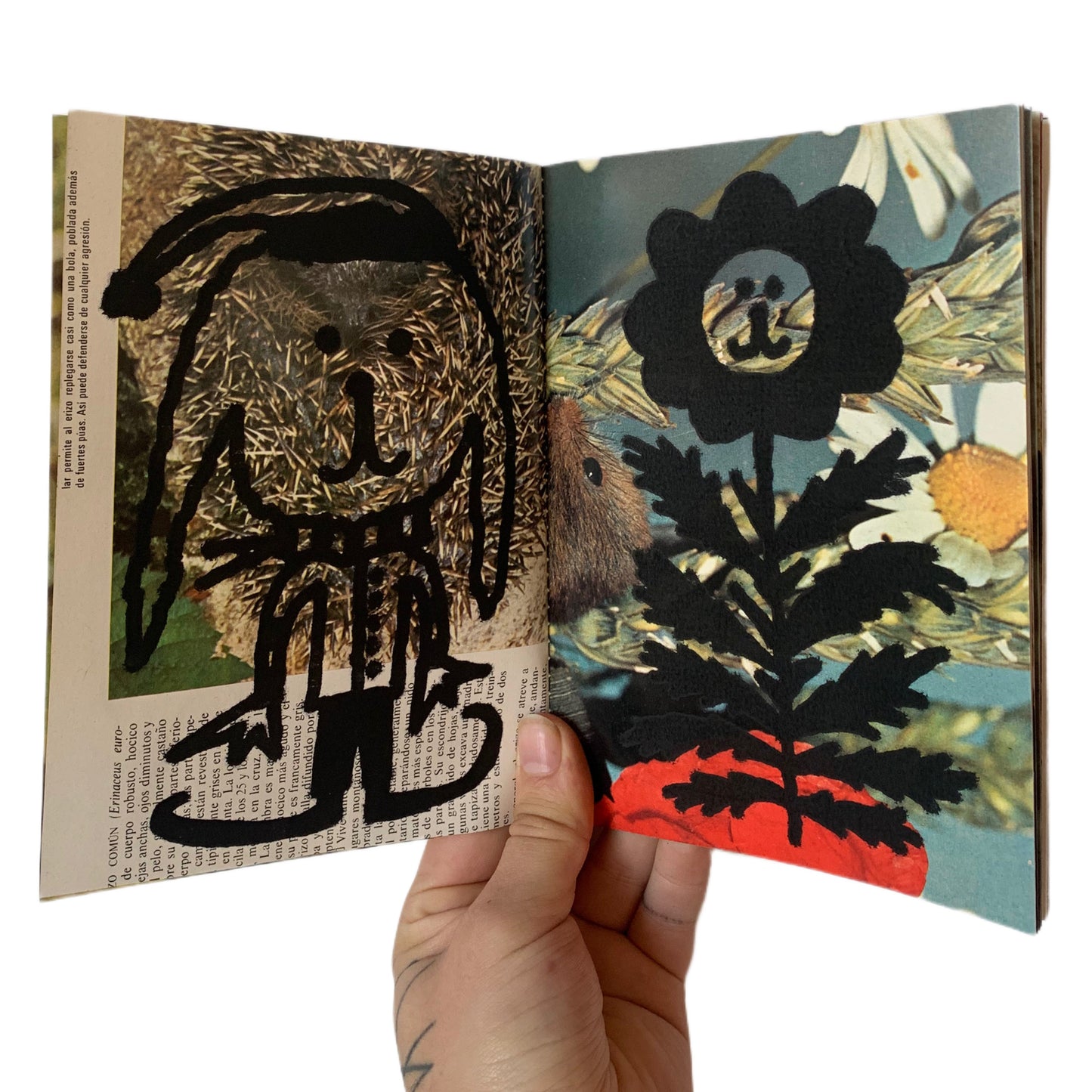fanzine BUENA SUERTE