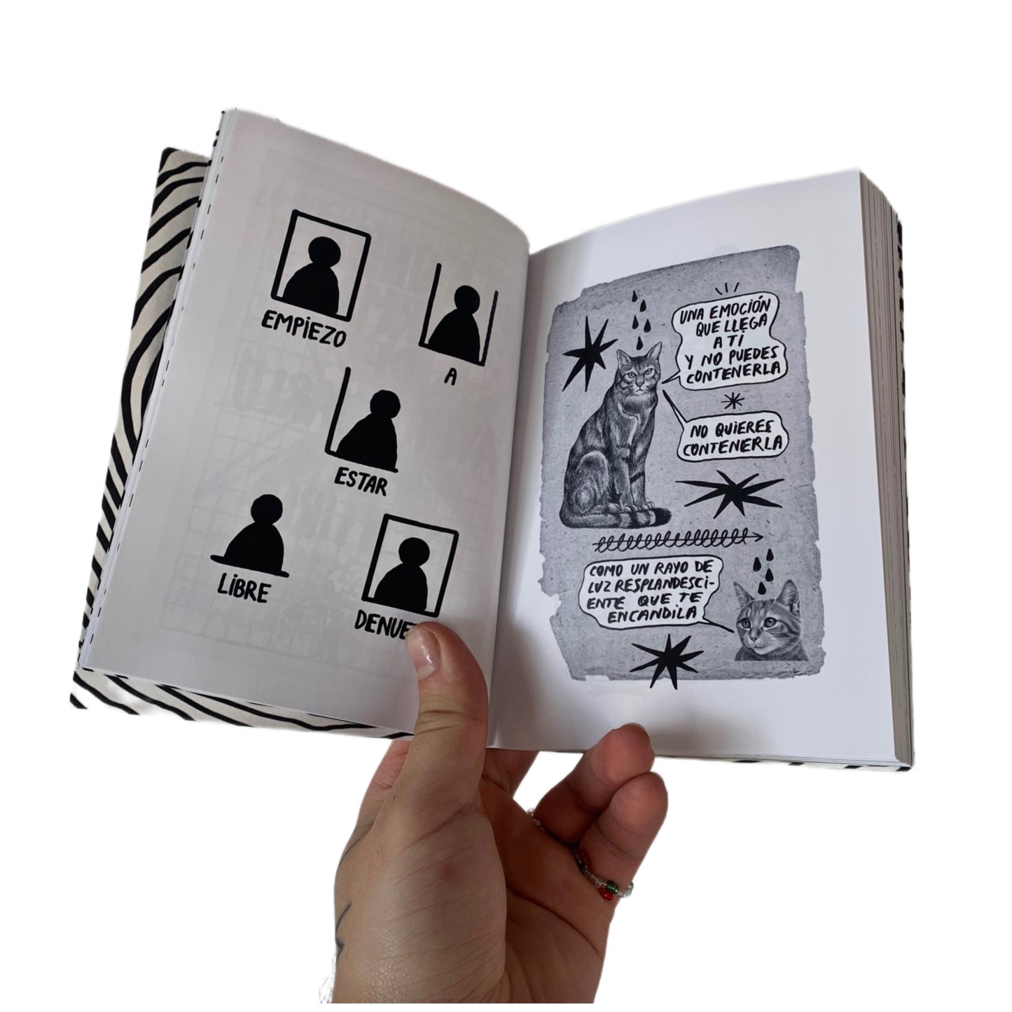 libro NOSE QUE QUISE DECIR CON ESTO (segunda edición)