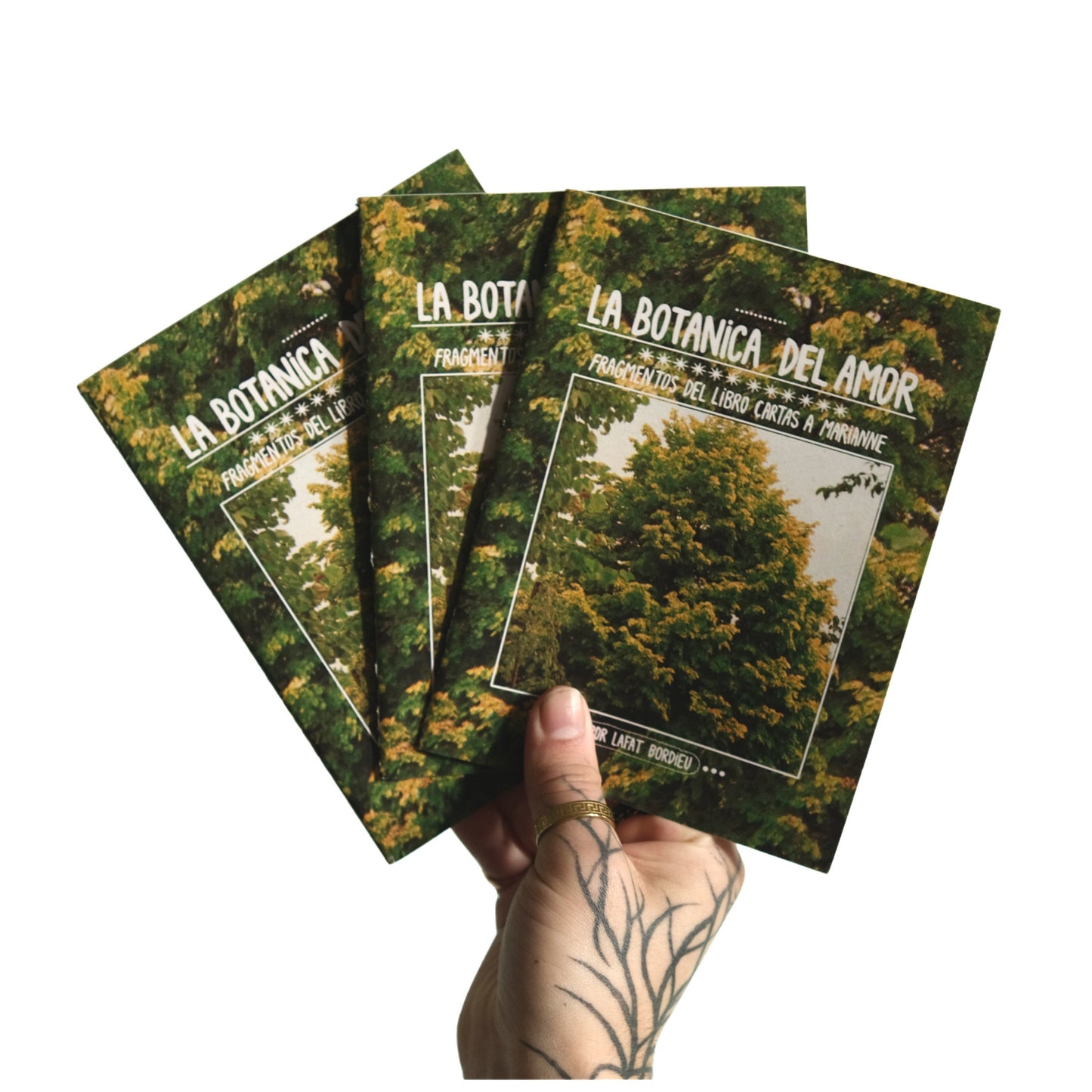 fanzine LA BOTÁNICA DEL AMOR