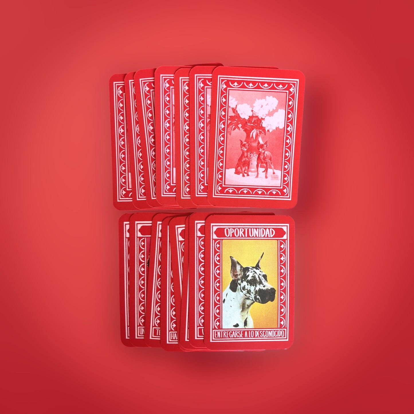 ORÁCULO CANINO (mazo de cartas)