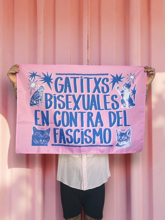 bandera GATITX BISEXUALES